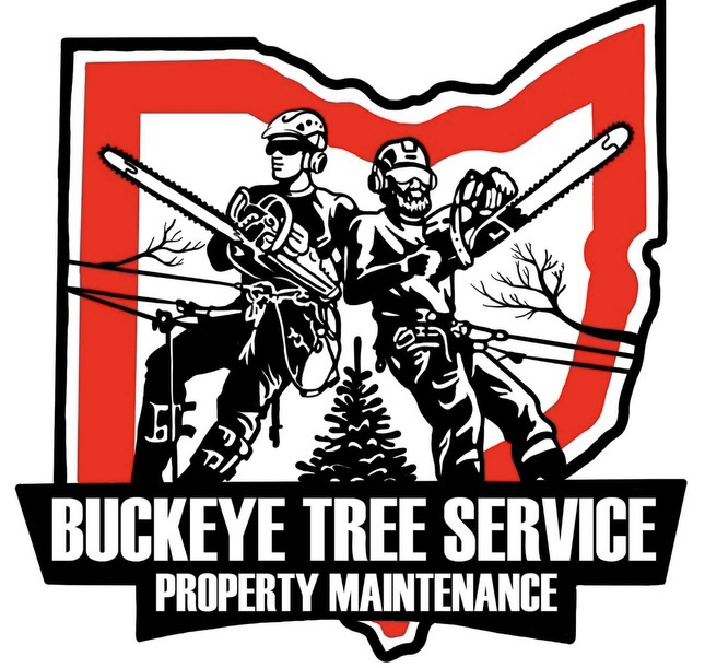 Buckeye Tree Service & Property Maintenance logo