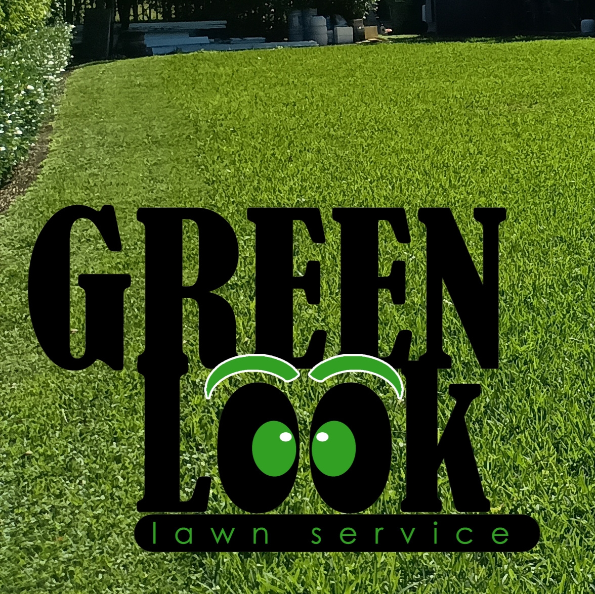 Green look lawn service logo