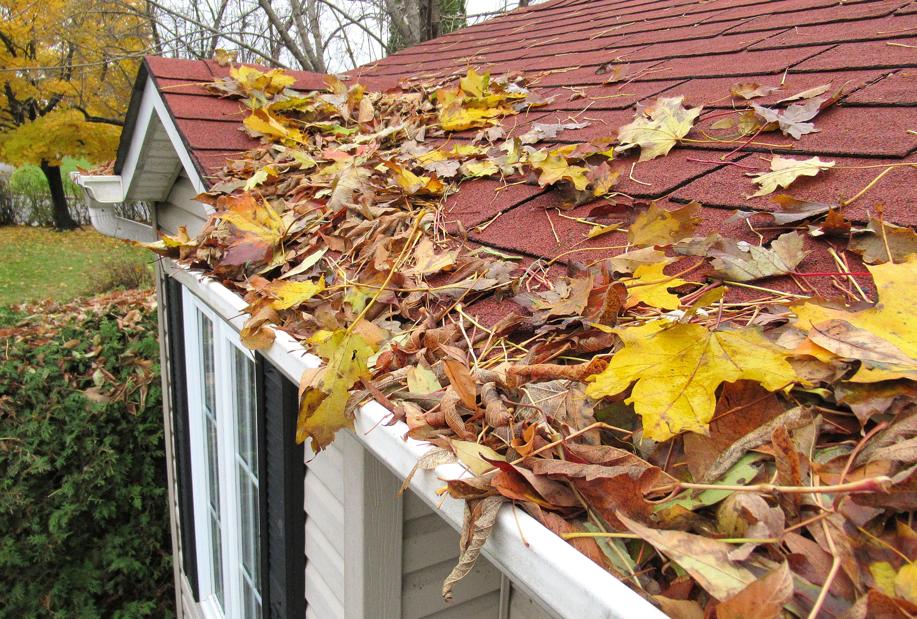 Reeds Gutter Care logo