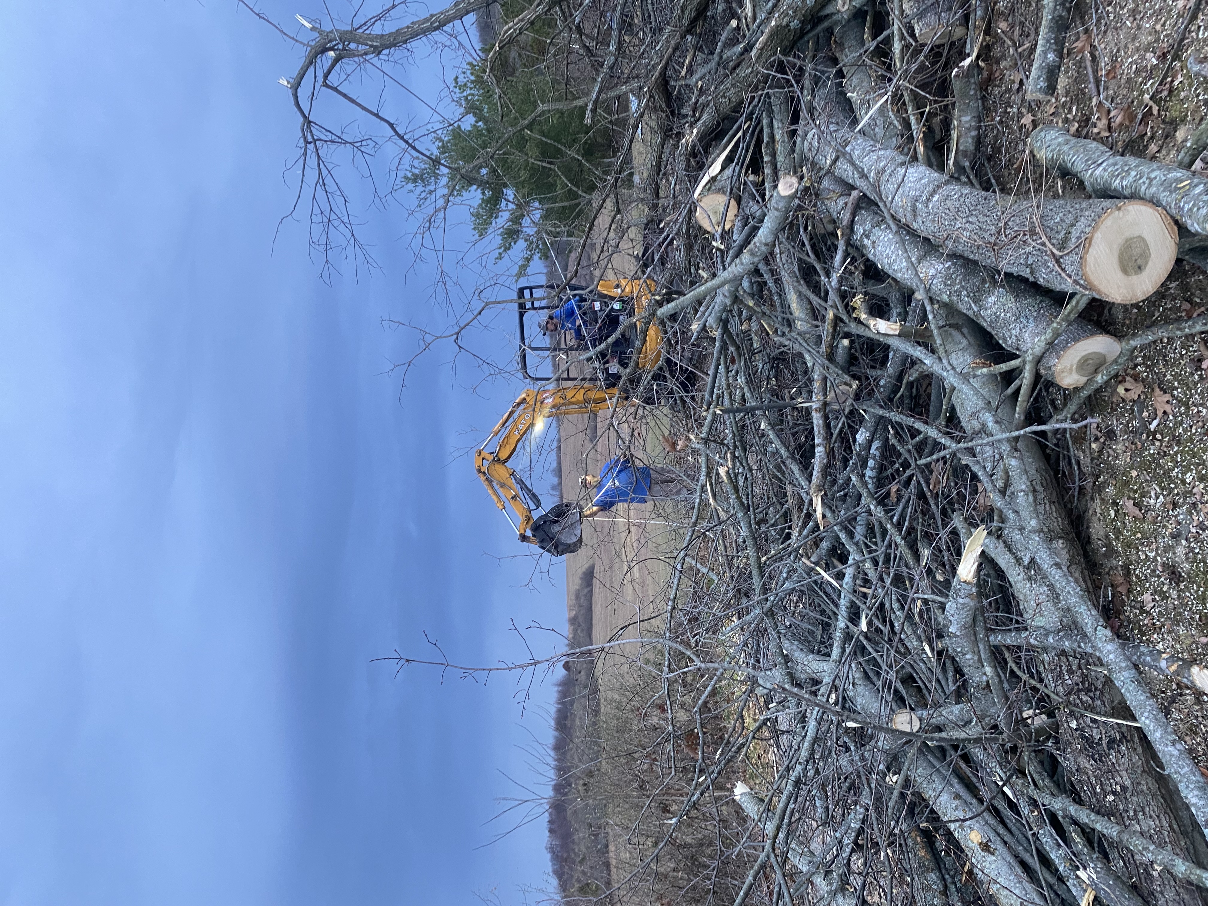 Avatar for Ross Tree Service LLC