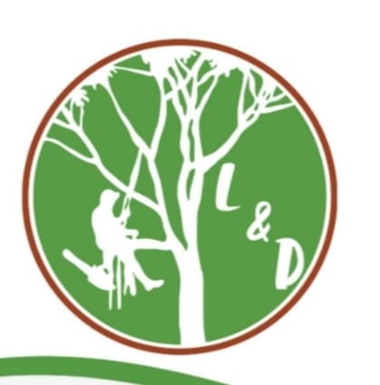 Avatar for Pablo Out On A Limb