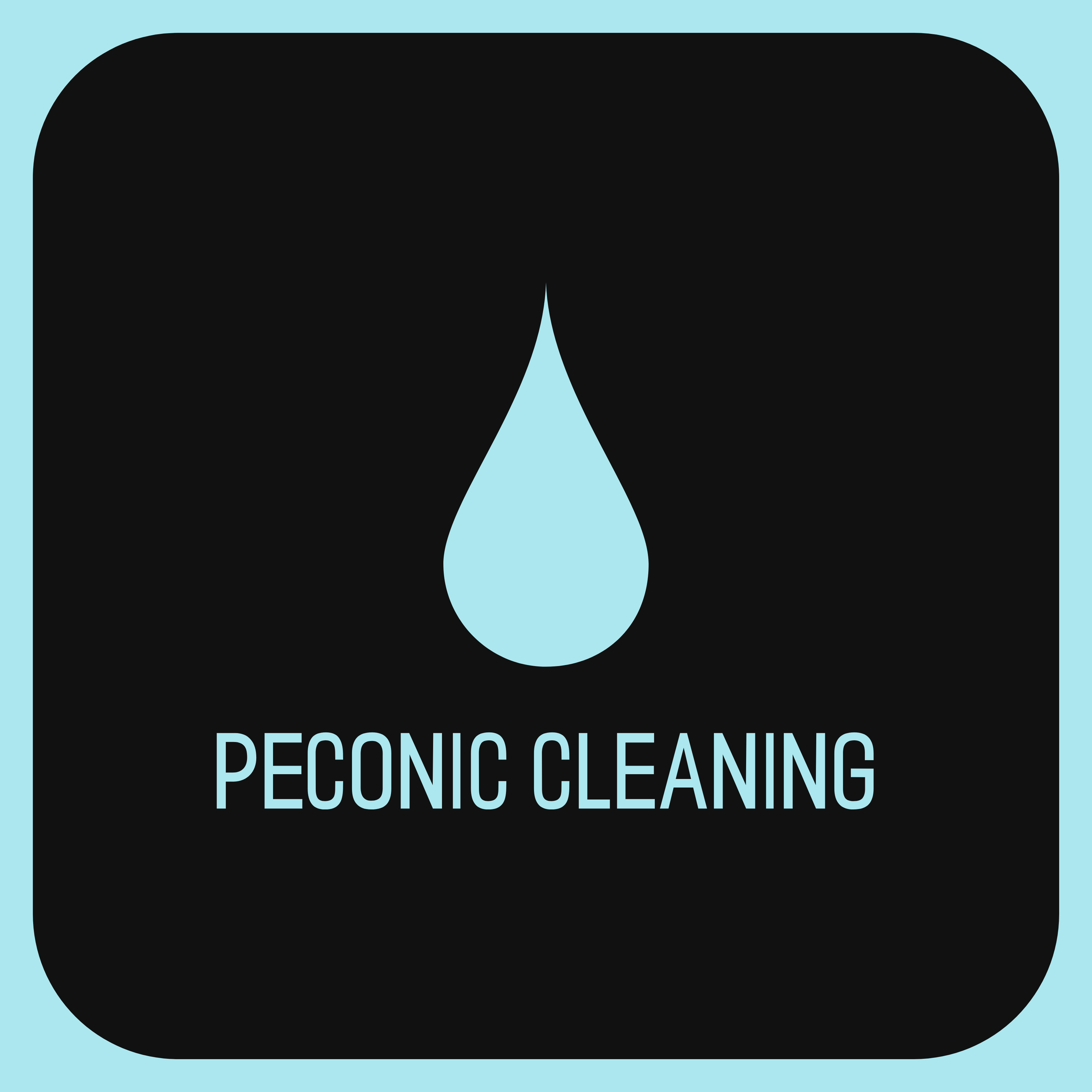 Avatar for Peconic Cleaning Company
