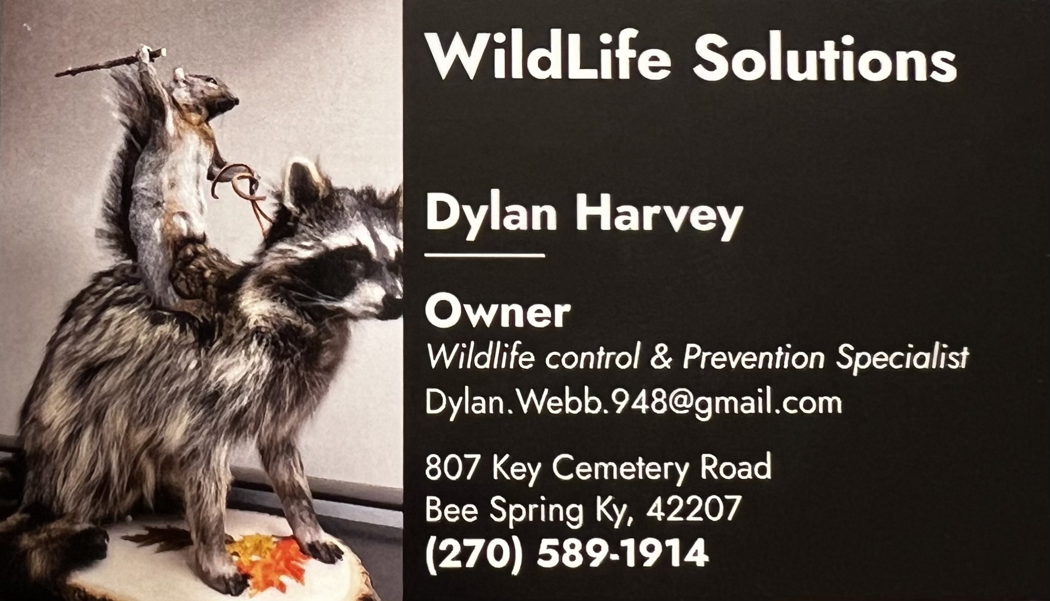 Wildlife Solutions LLC logo