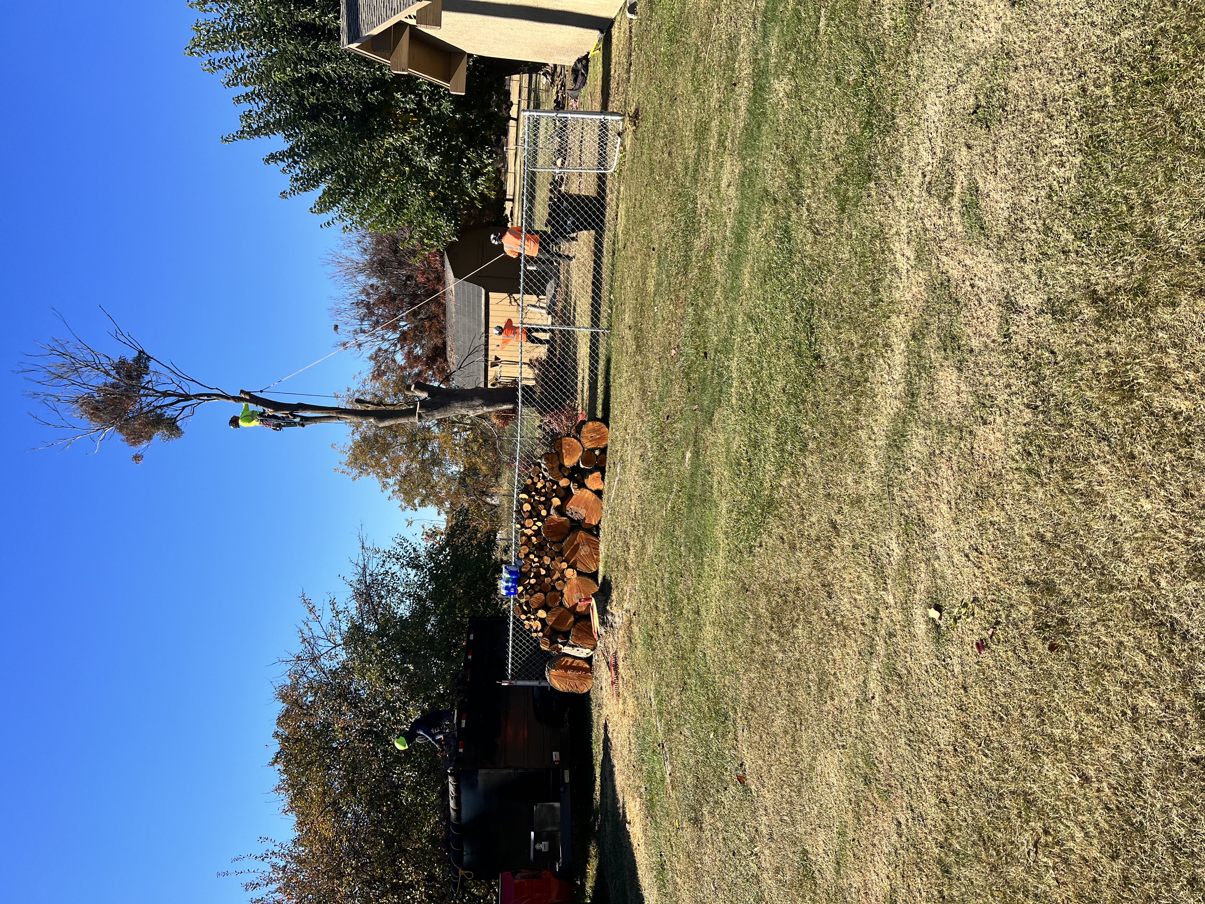Avatar for Brother tree service