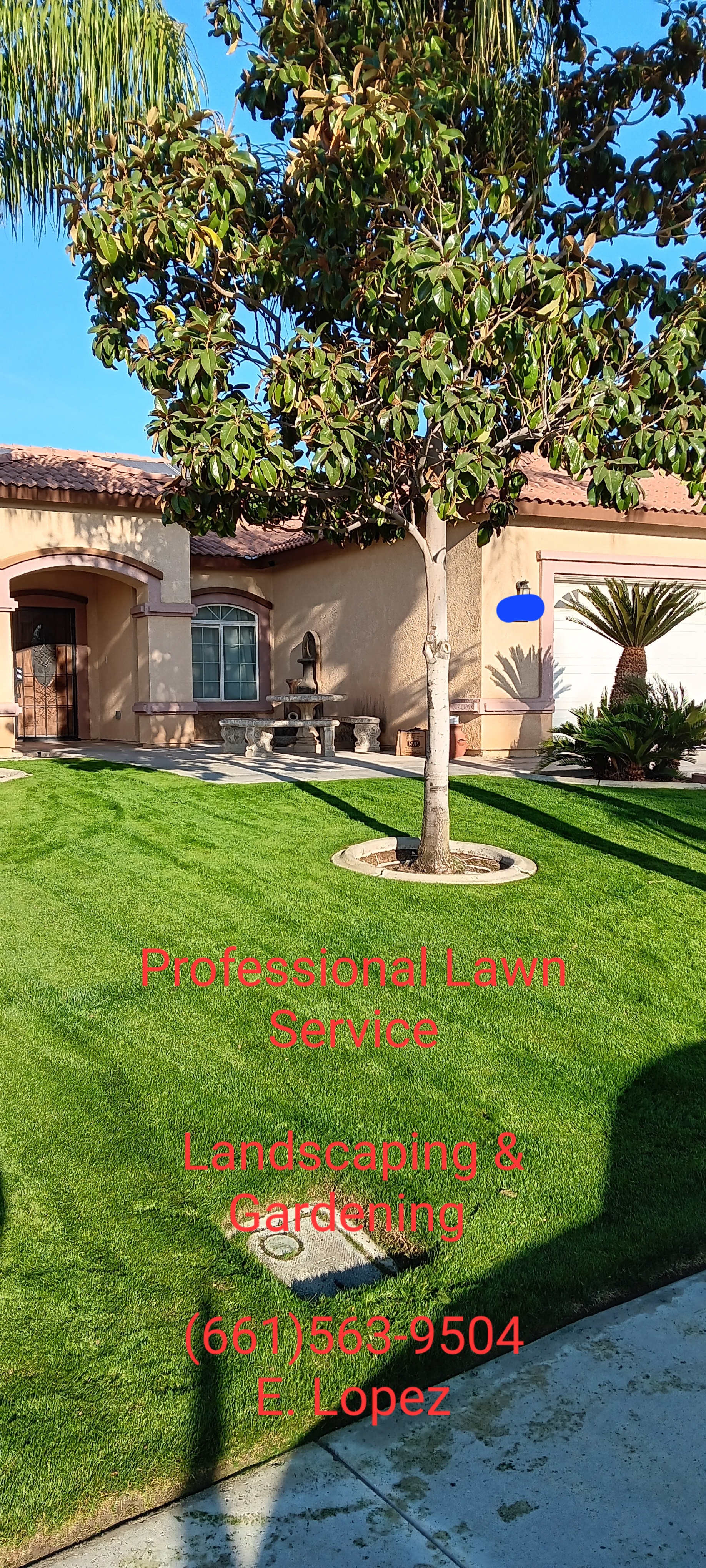 Avatar for Professional Lawn Service