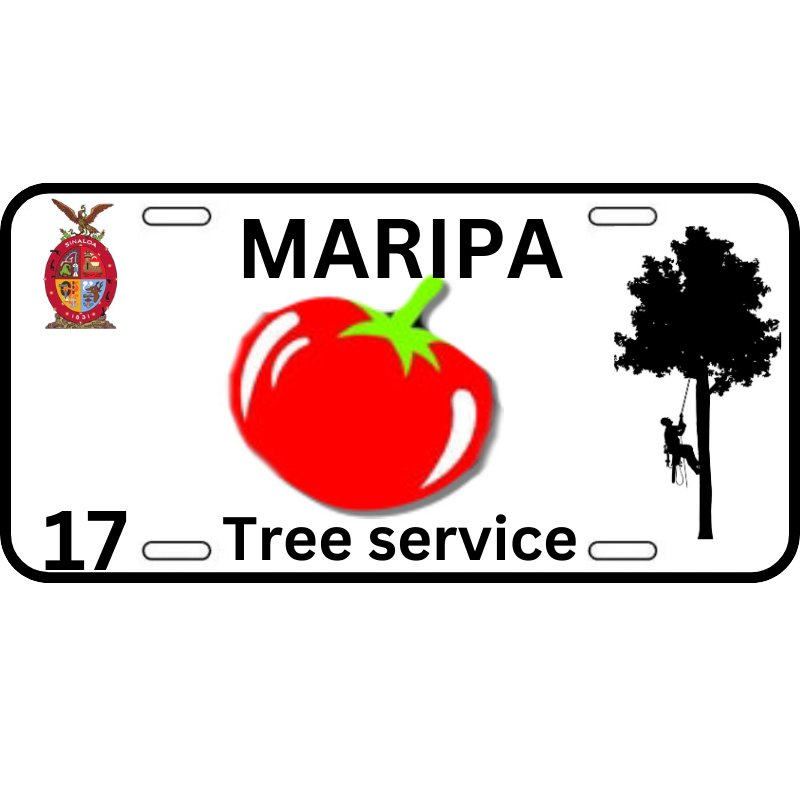 Avatar for Maripa Tree Service
