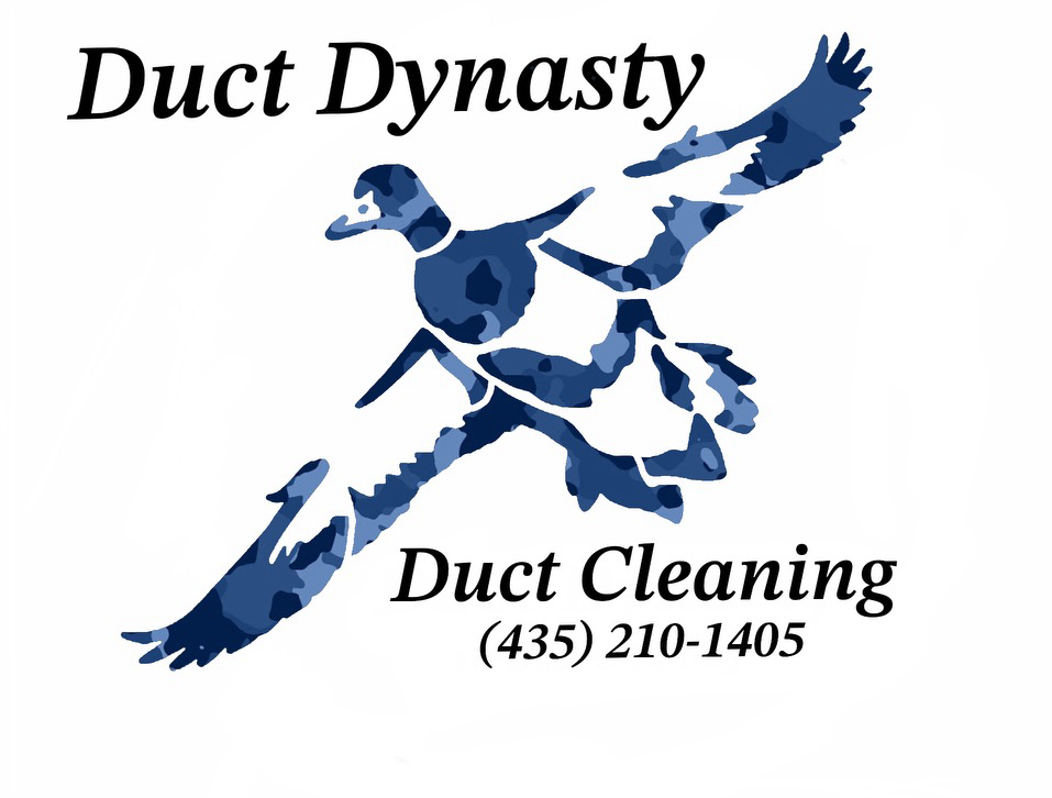 Avatar for Duct Dynasty