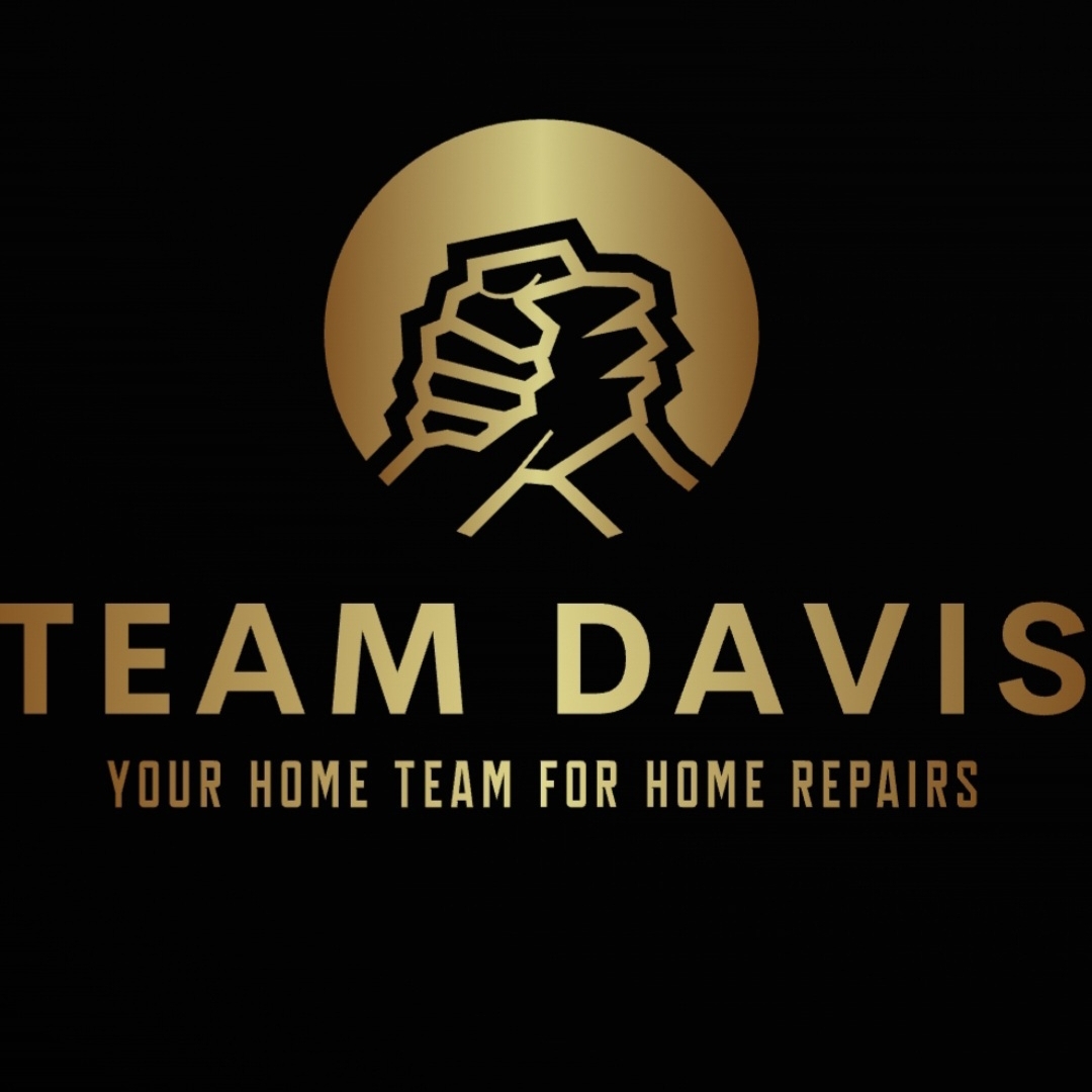 Team Davis Repair Services logo