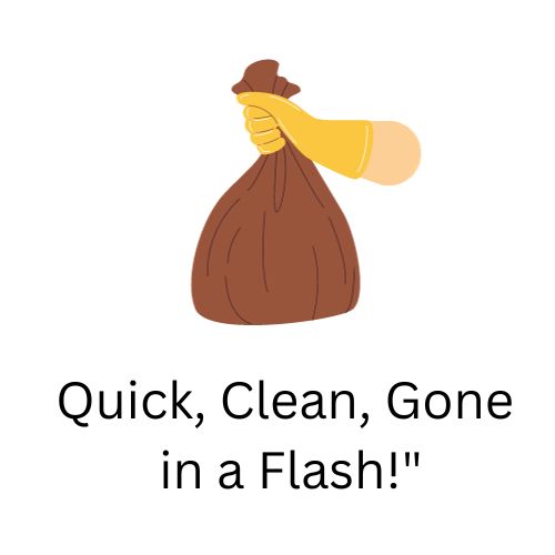 TrashDash logo