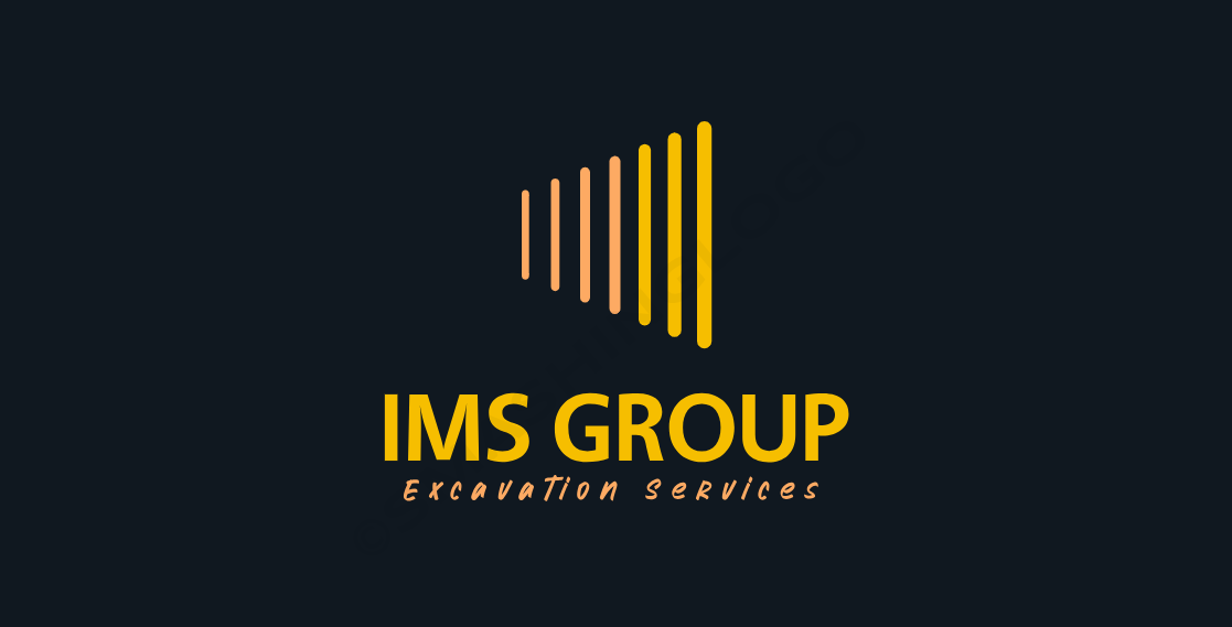 IMS Group logo