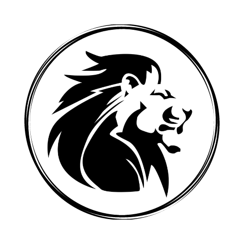 We Solve IT LLC logo