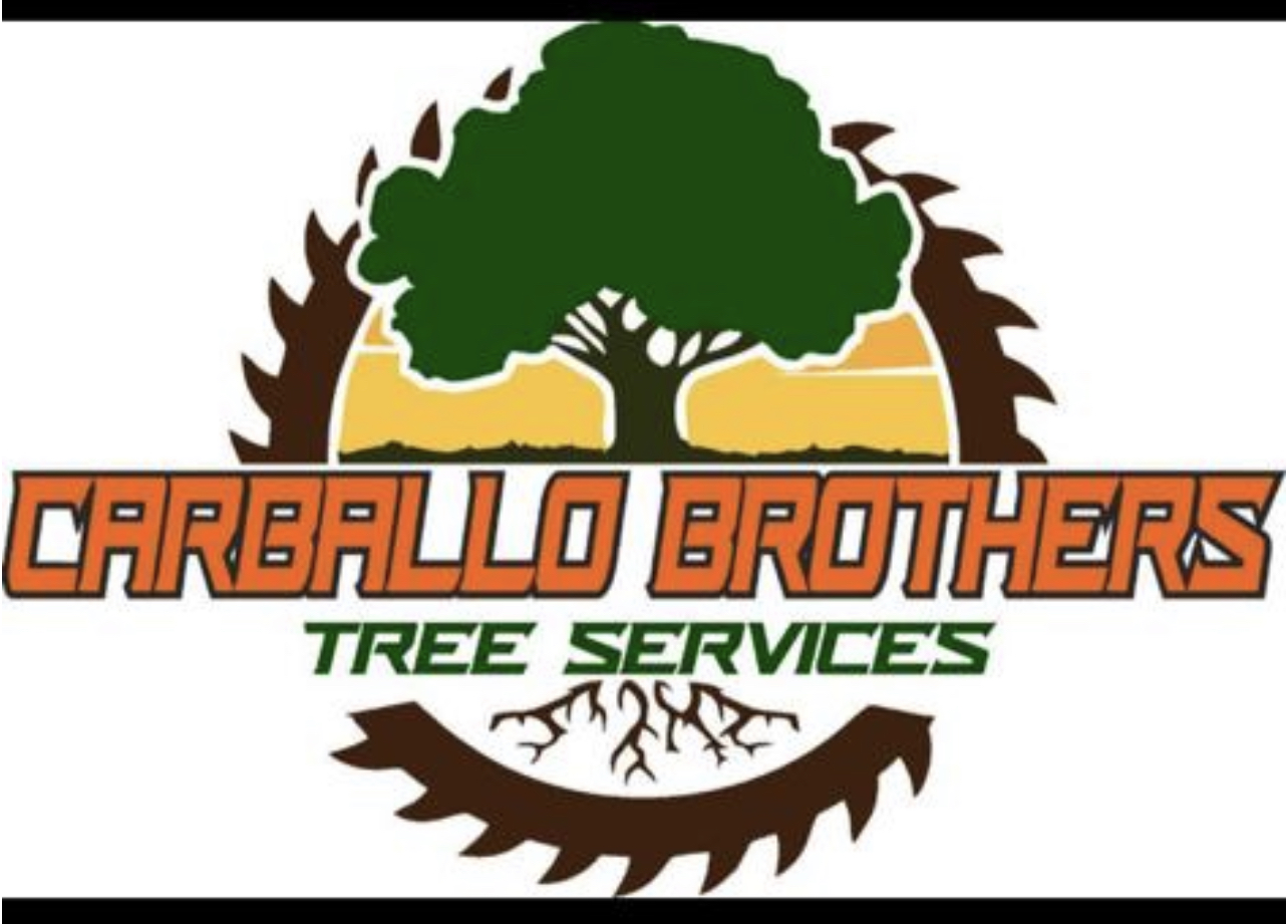 Logo for Brothers Carballo LLC Tree Services