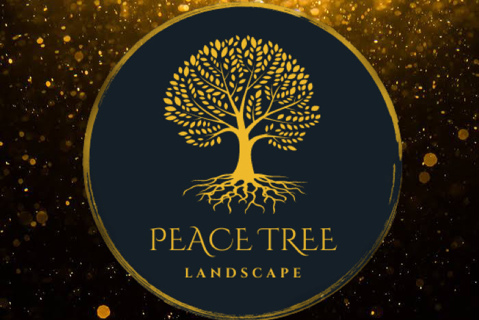 Avatar for Peace Tree Landscape