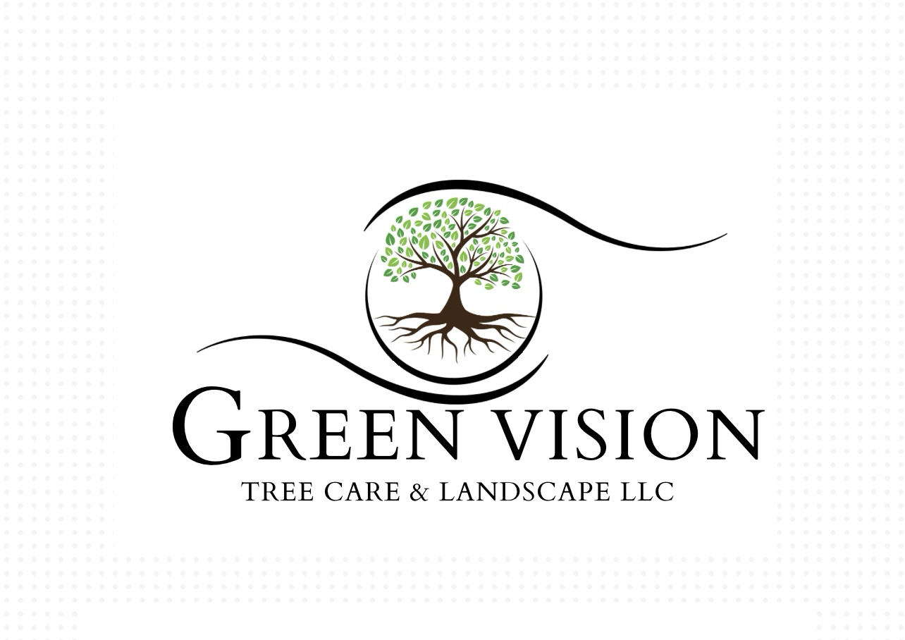 Avatar for Green Vision Tree Care & Landscapes, LLC