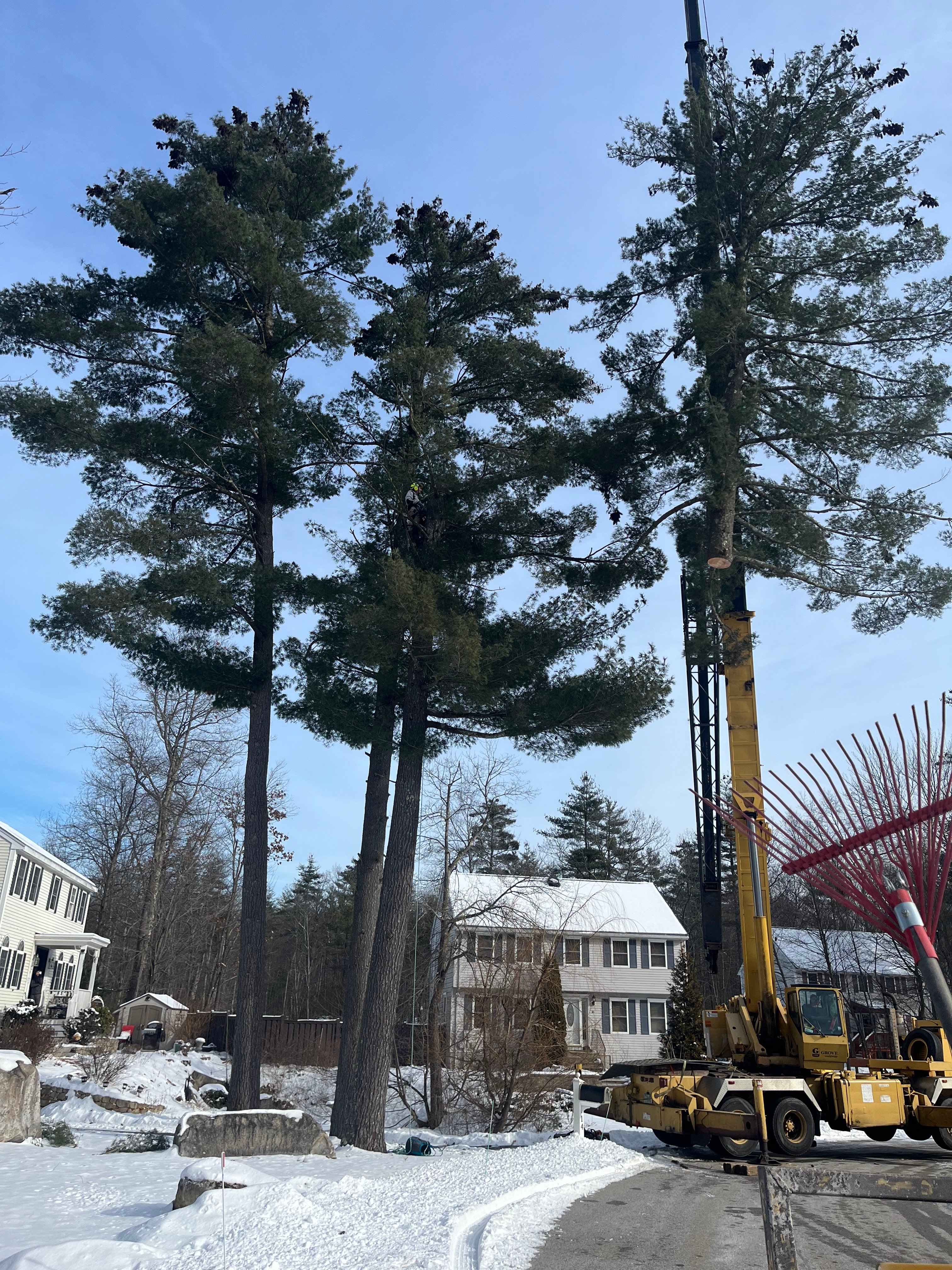 Avatar for JC Tree & Excavation