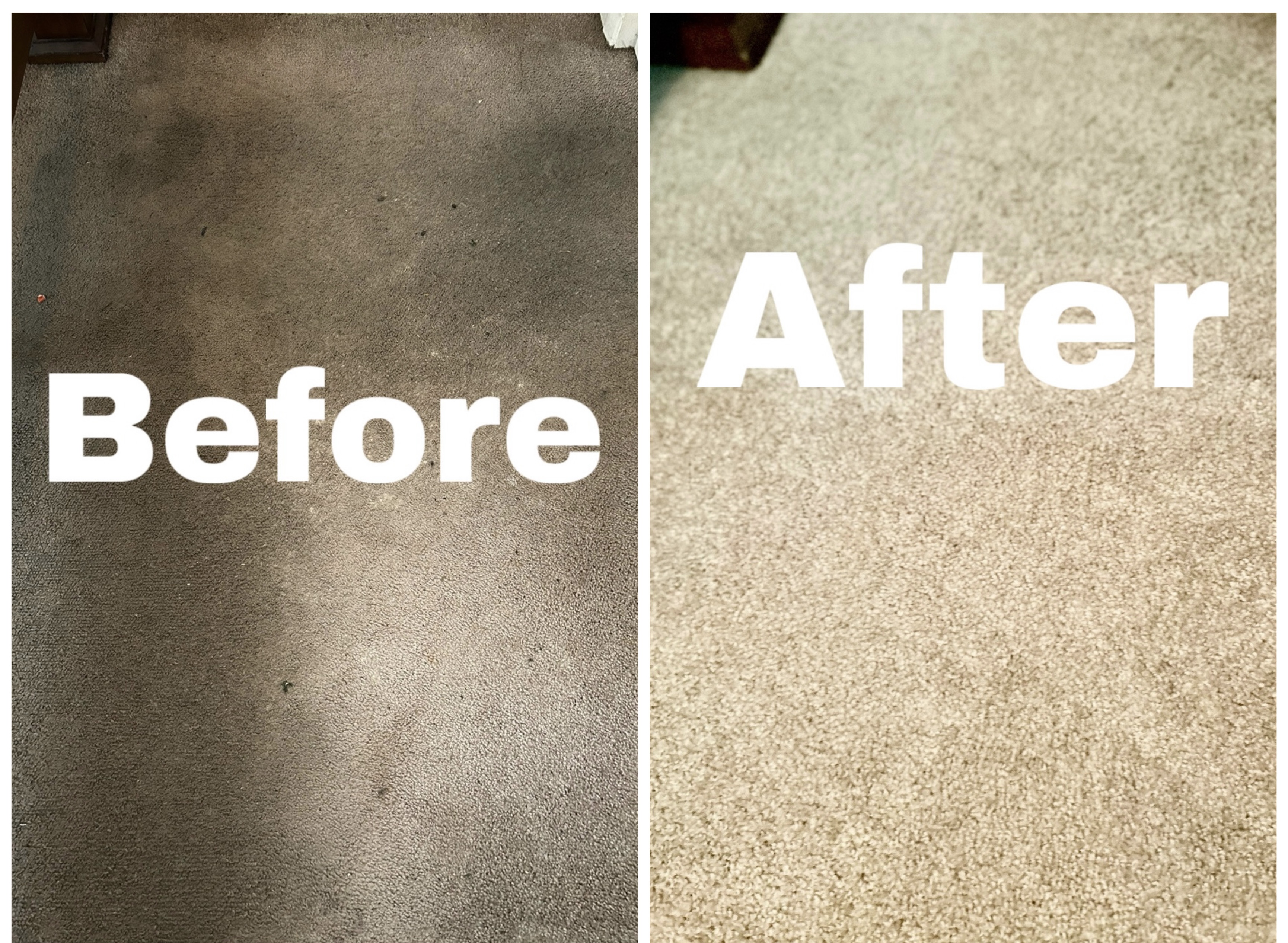 ALL N ONE FLOOR CLEANING Co. logo