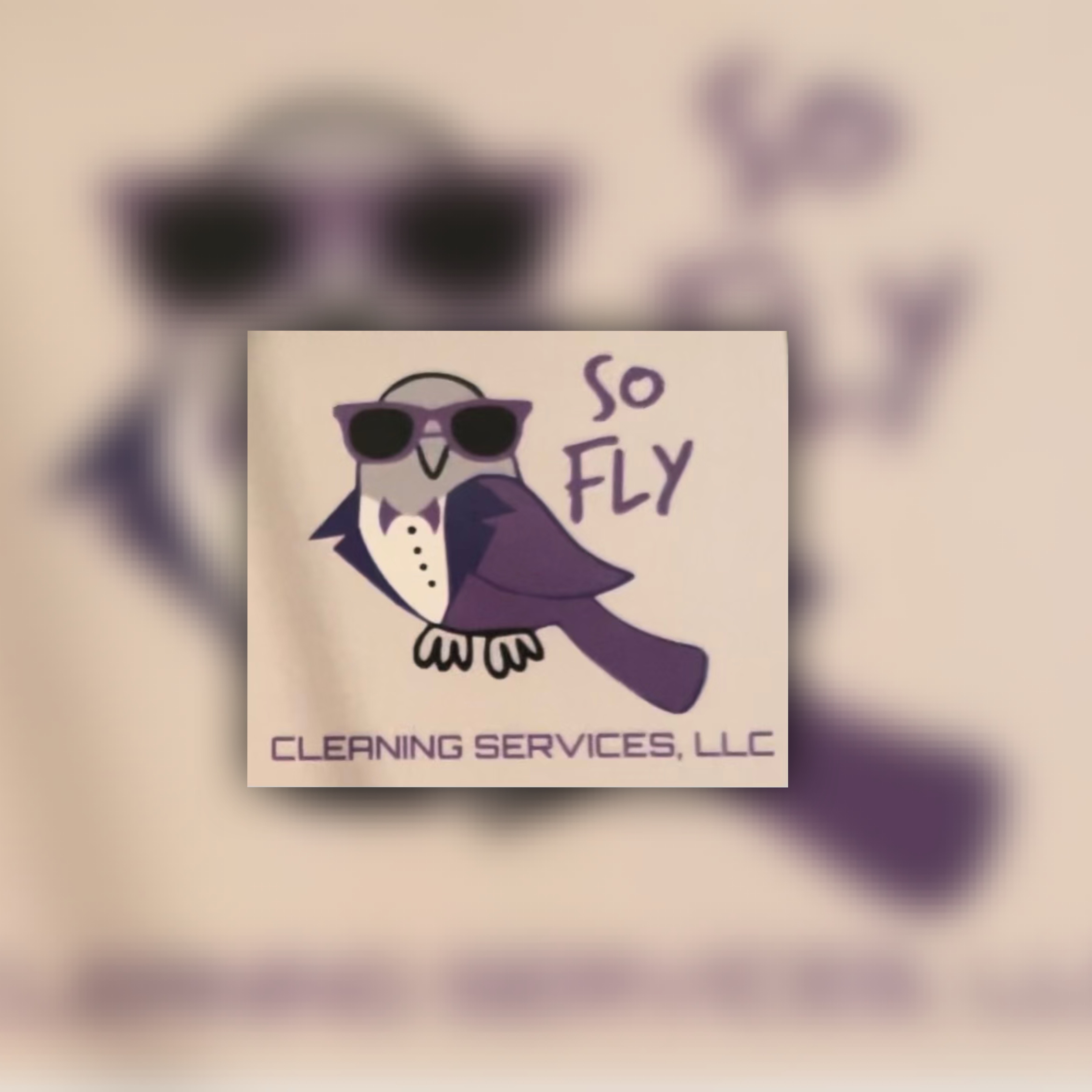 SoFly Cleaning Services LLC logo