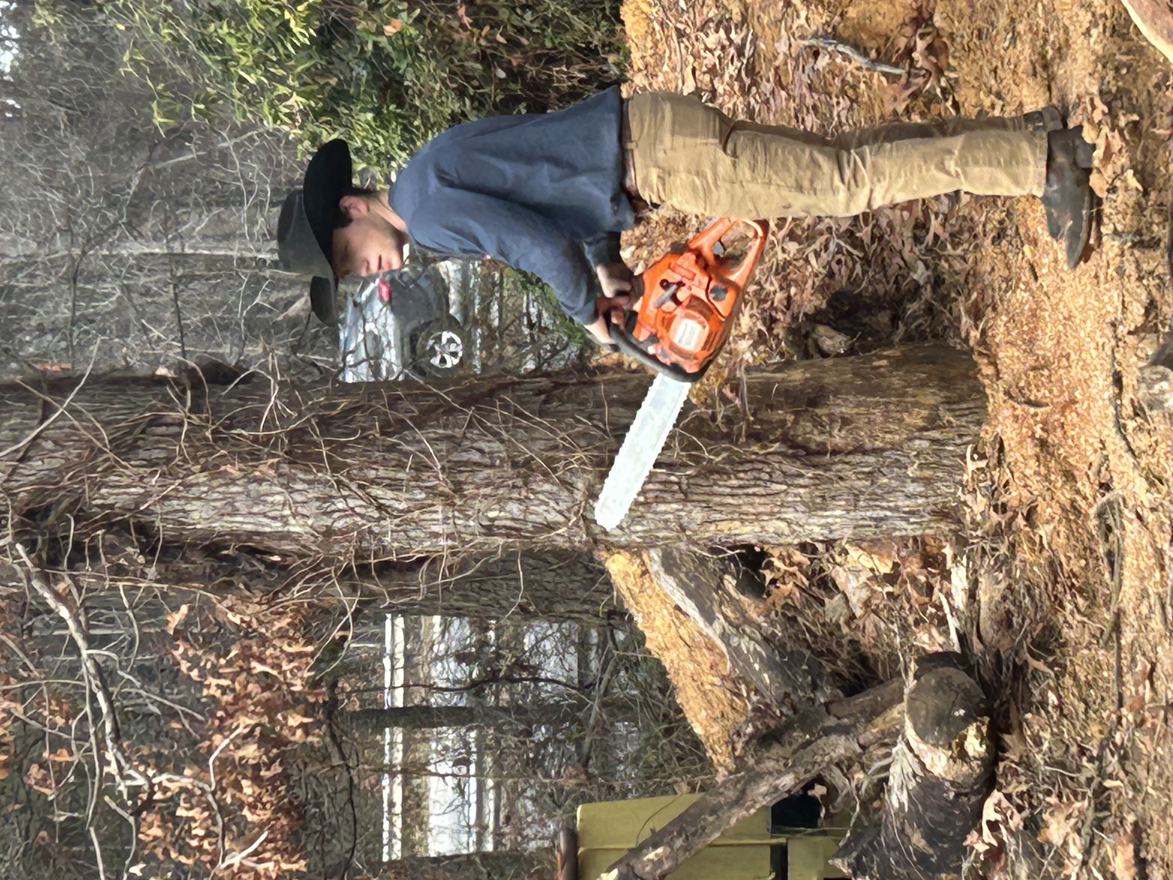 RDS Tree Services logo