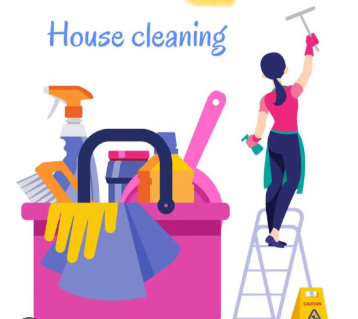 Clean Genie logo