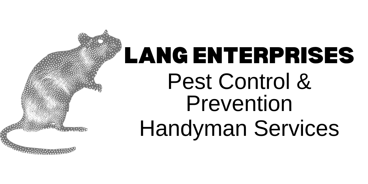 Lang Enterprises HANDYMAN & Pest Control logo