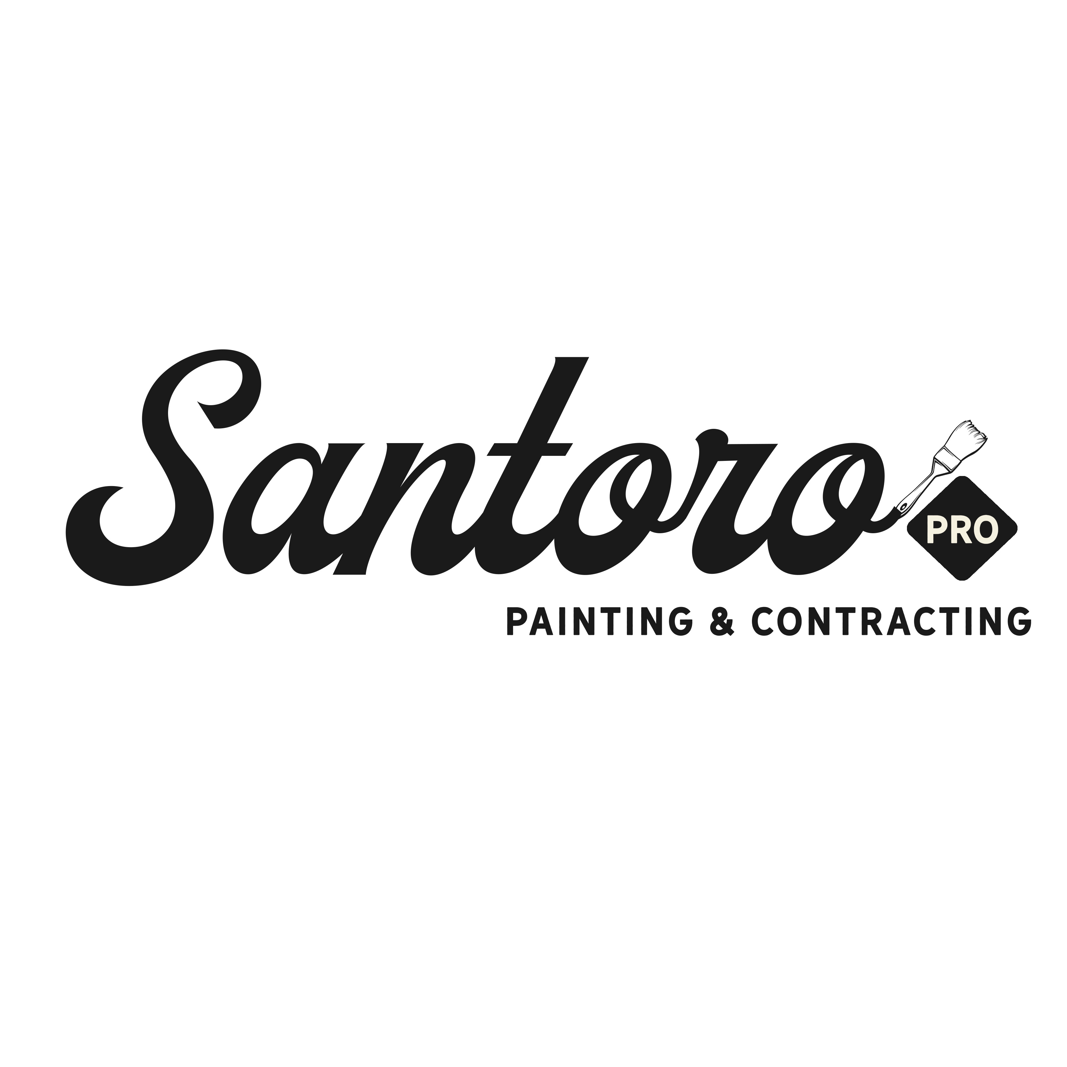 Santoro Pro Painting & Contracting LLC logo