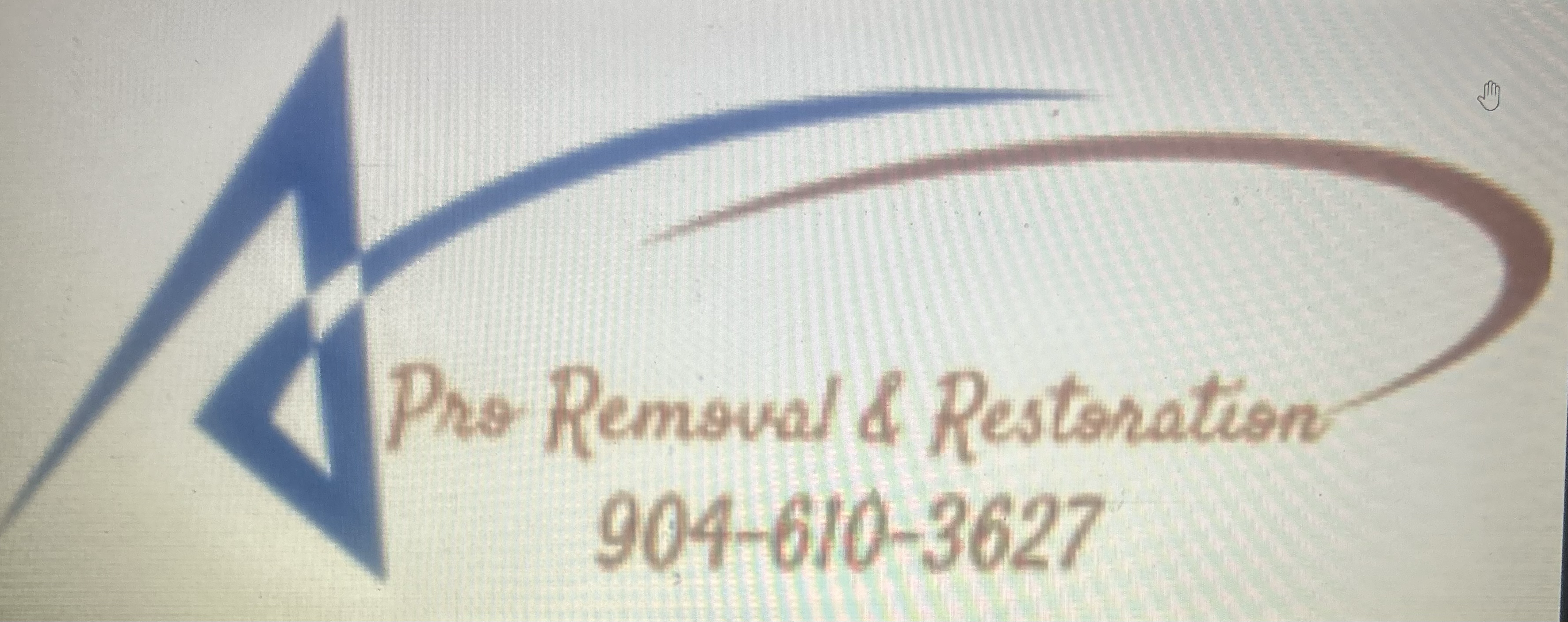 Avatar for Pro Removal & Restoration