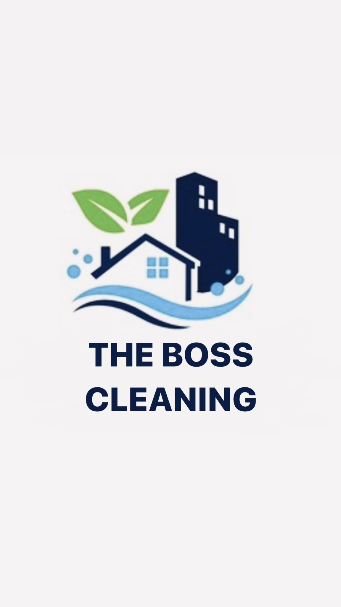 Avatar for The Boss Cleaning
