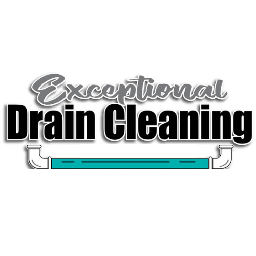 Avatar for Exceptional Drain Cleaning