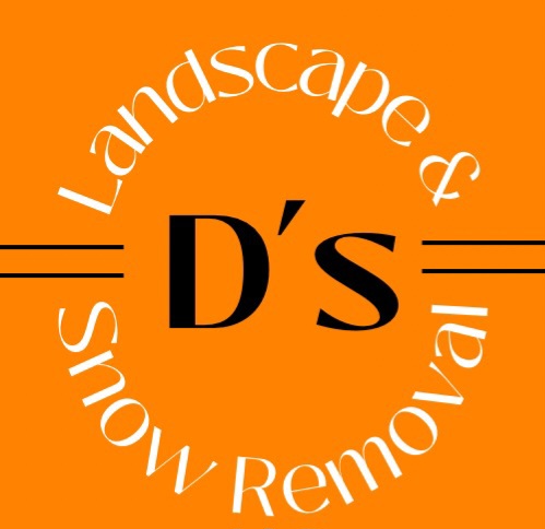 Avatar for D's landscape and snow removal