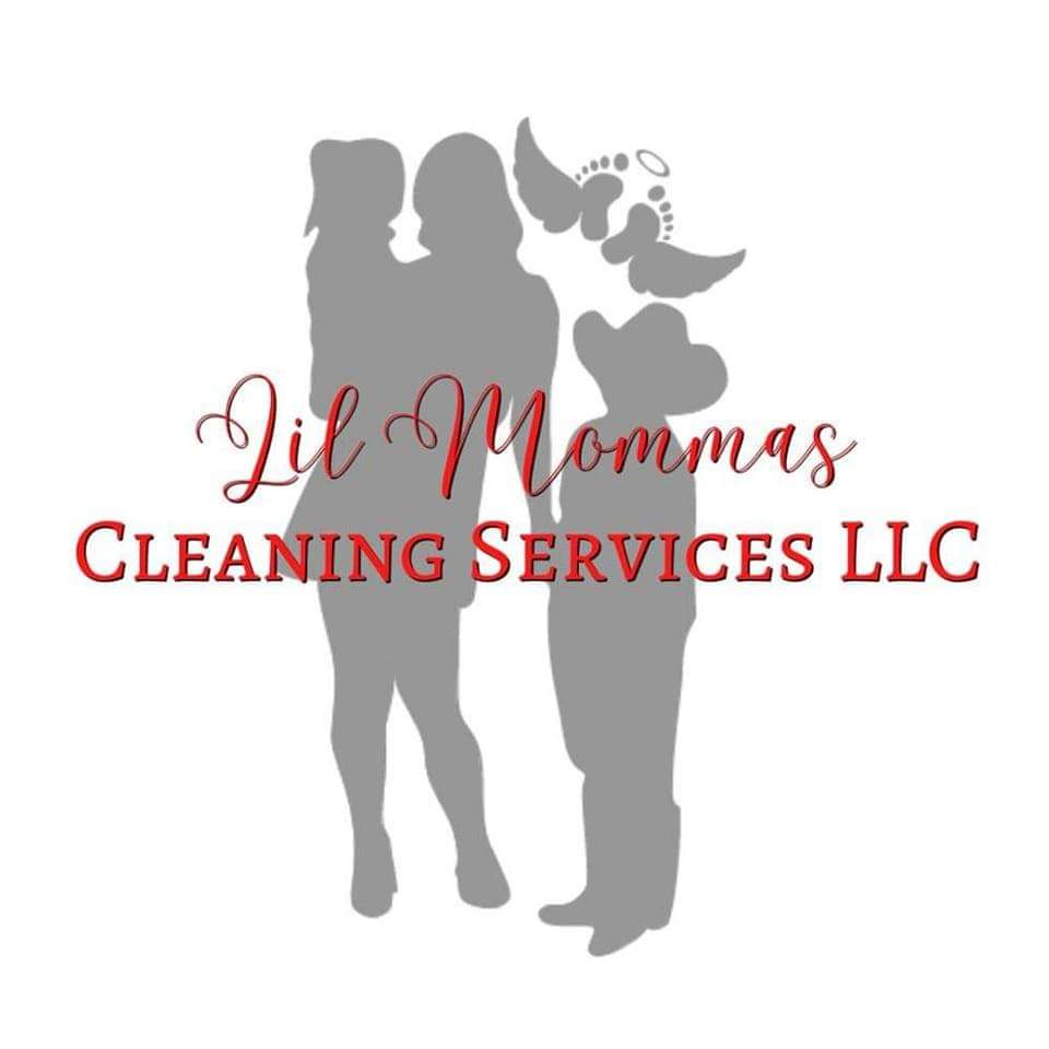 Avatar for Lil mommas cleaning services LLC