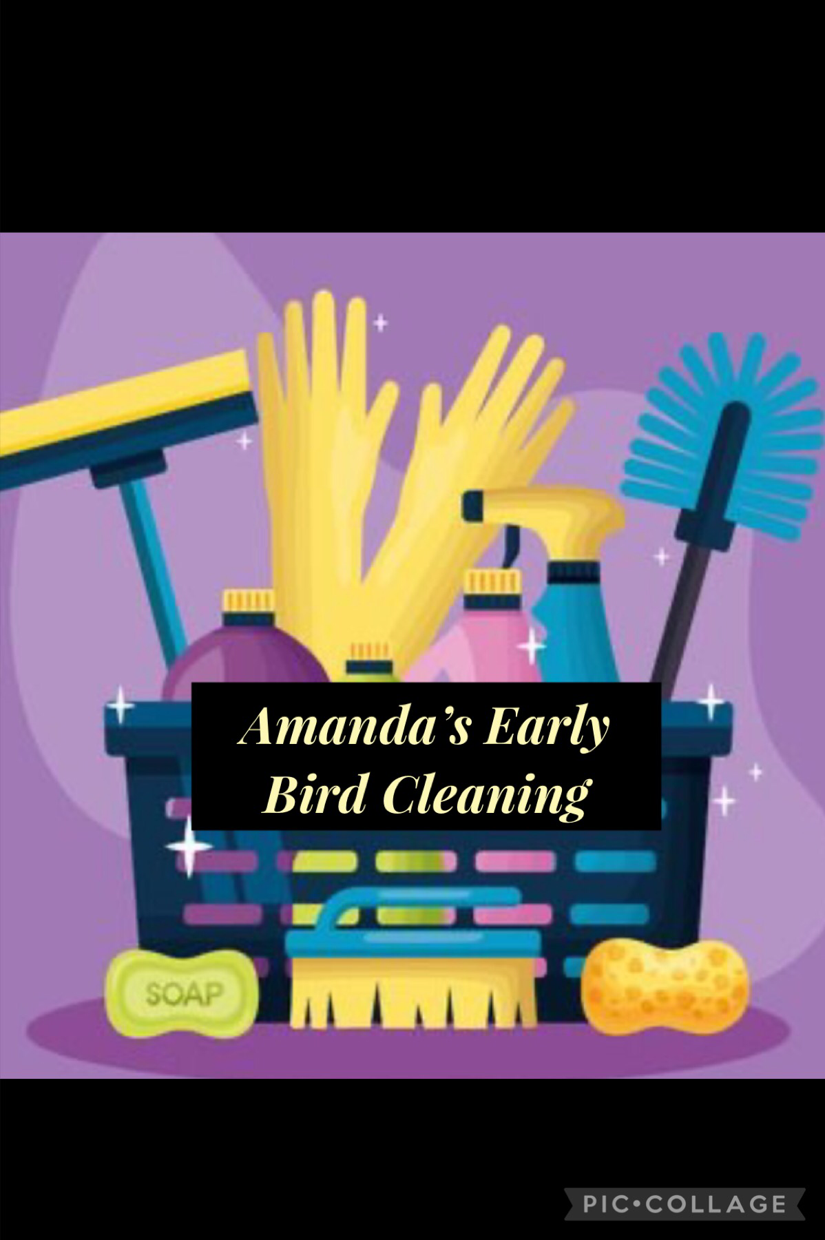Avatar for Amanda's Early Bird Cleaning