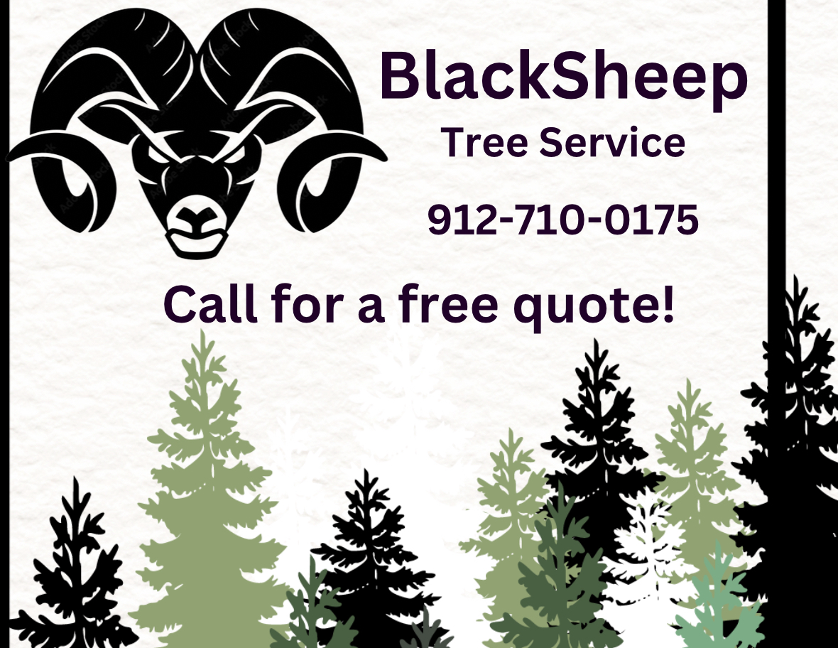 Avatar for BlackSheep Tree Service LLC
