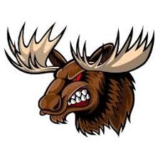 Mad Moose logo