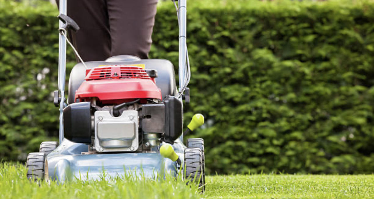 Avatar for RBM Lawn Care