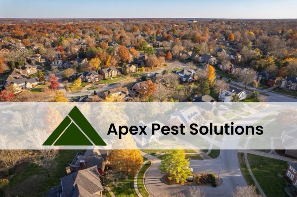 Avatar for Apex Pest Solutions