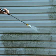 Ryan's cleaning logo