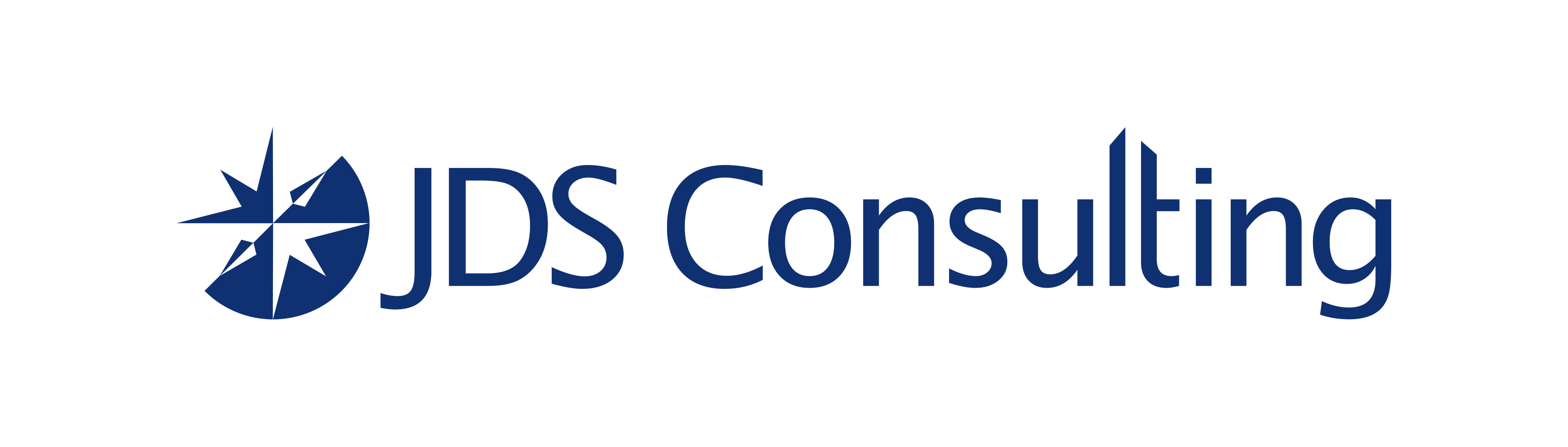 JDS Consulting logo