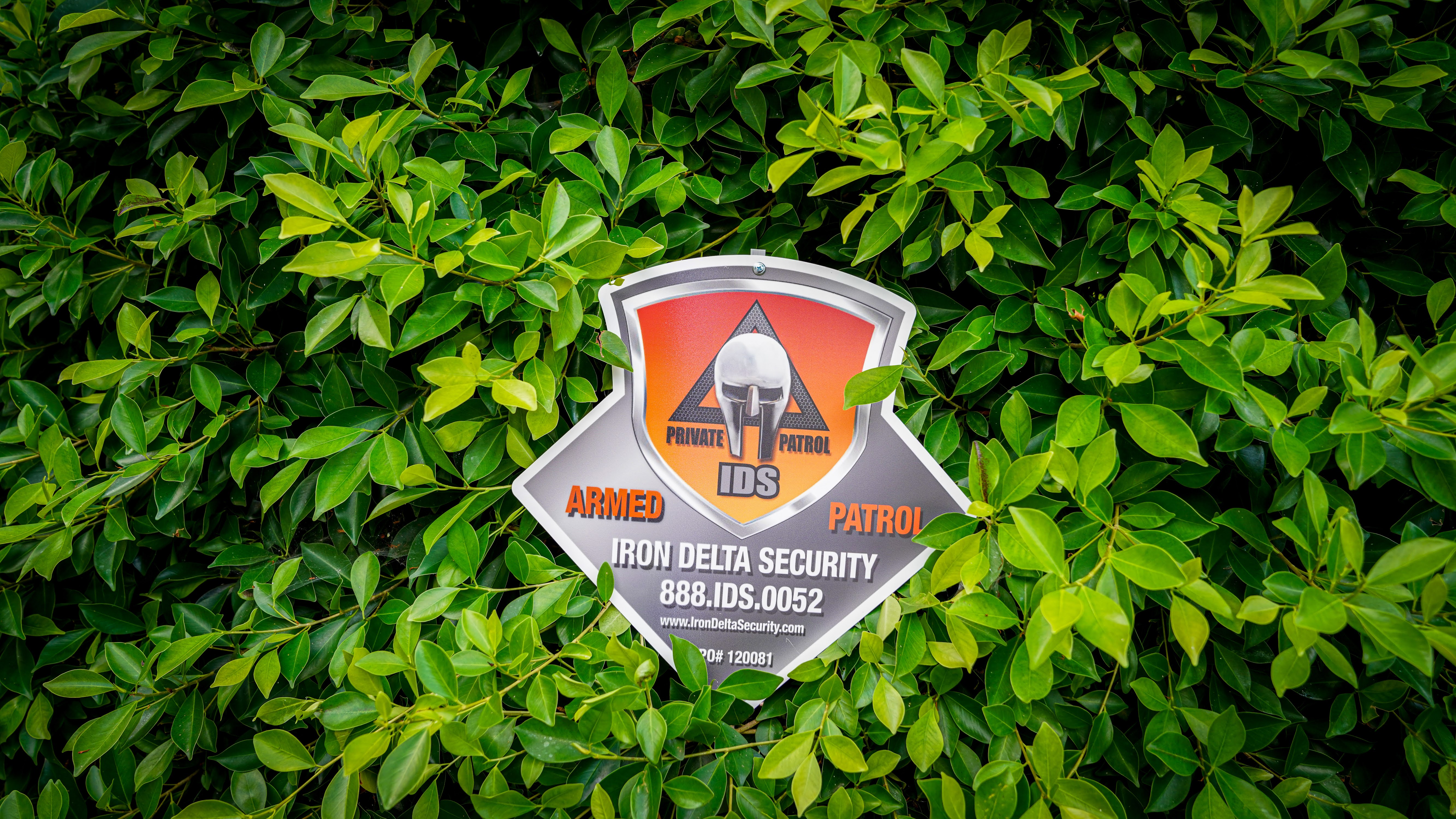 Iron Delta Security logo