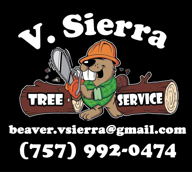 Avatar for V.Sierra