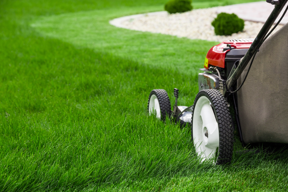 Avatar for Crown Lawn Service
