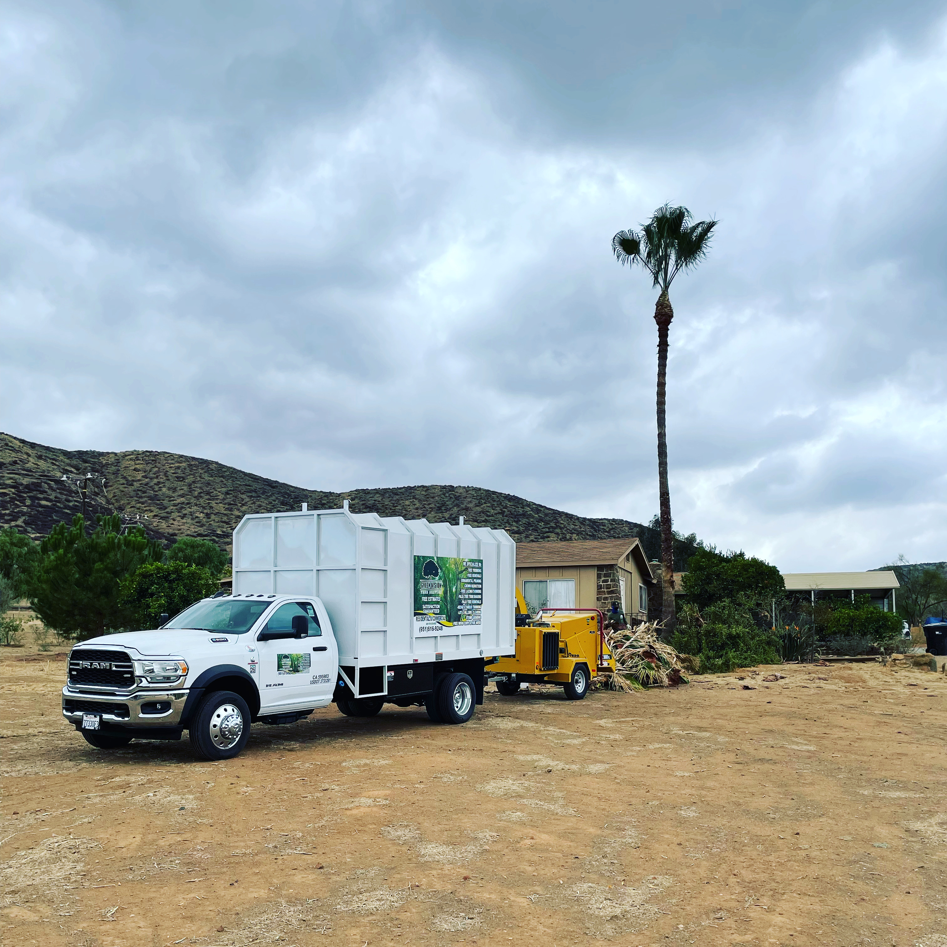 Green Vision Tree Service logo