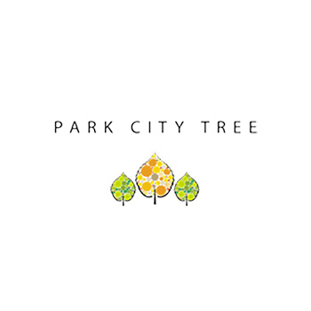 Avatar for Park City Tree