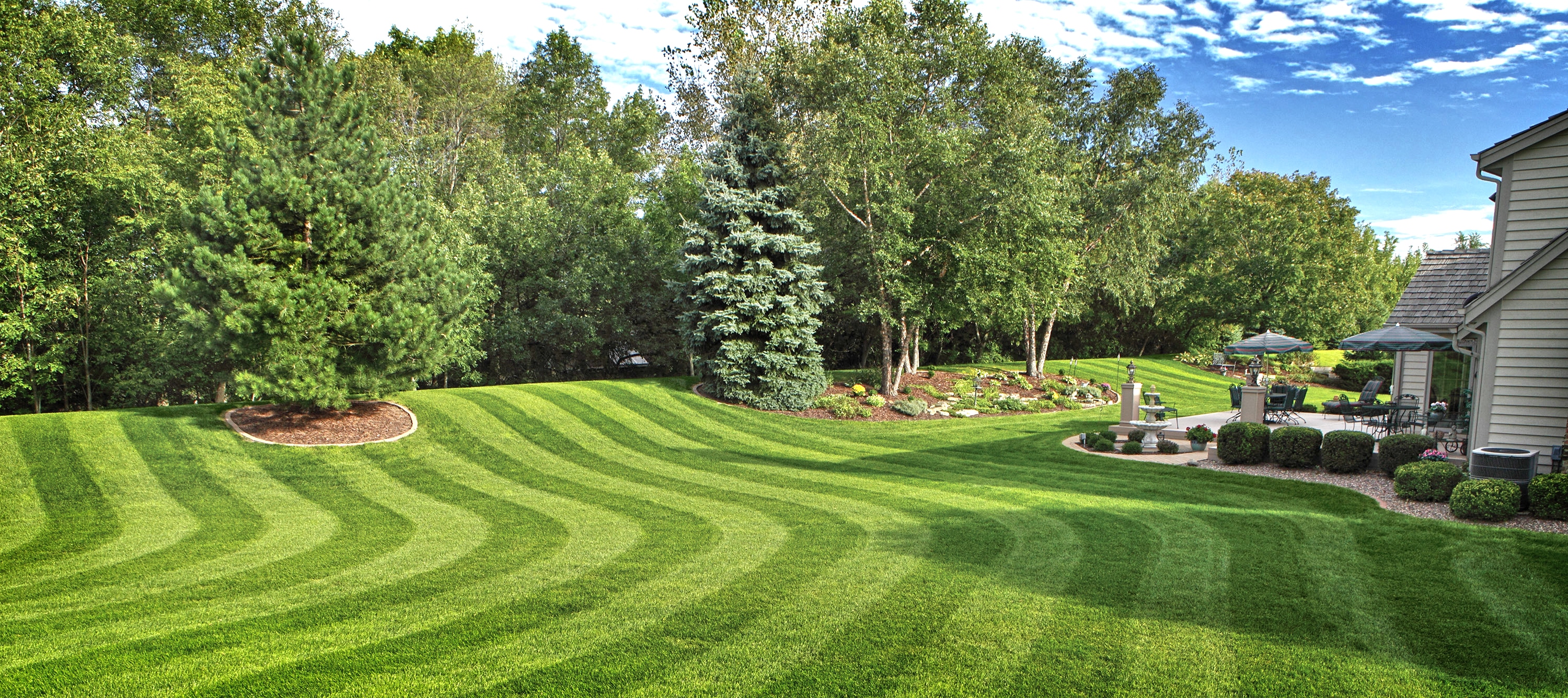 Avatar for Savior Lawn & Property Maintenance, LLC