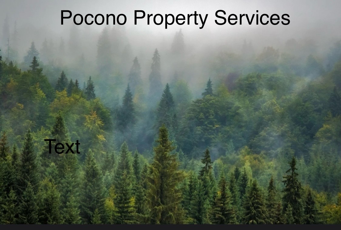 Pocono Property Services logo