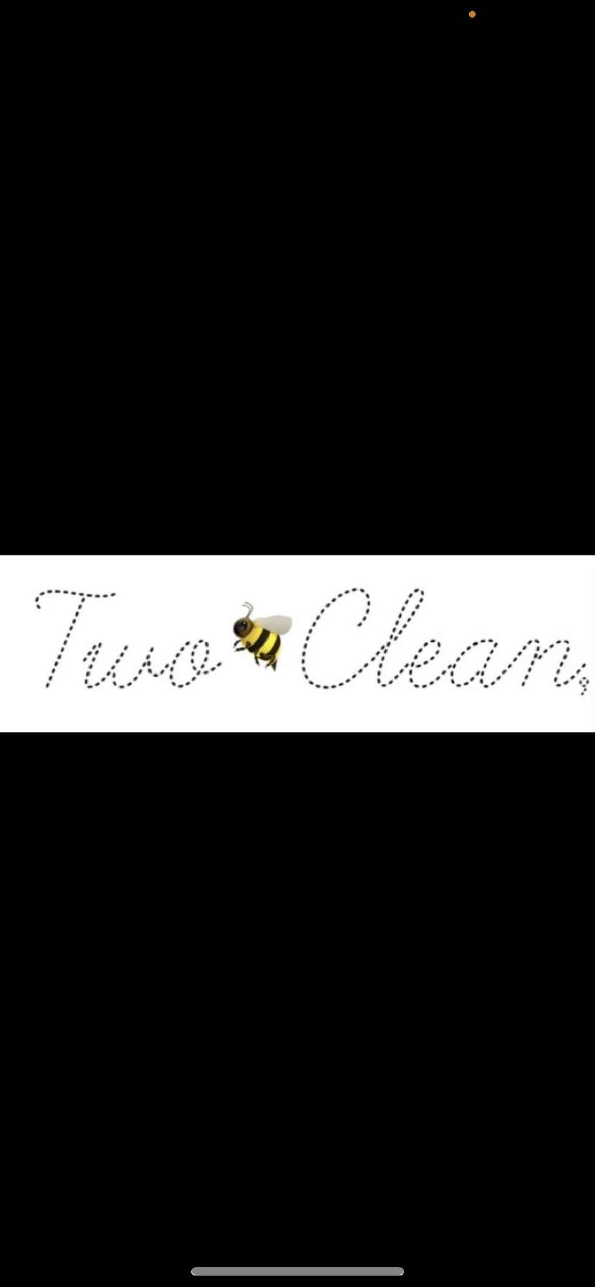 Two Bee Clean LLC logo