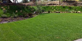 Avatar for Rosales Landscaping
