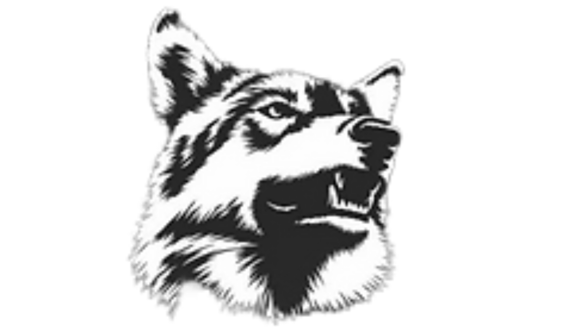 Garwolf Rain Gutter logo