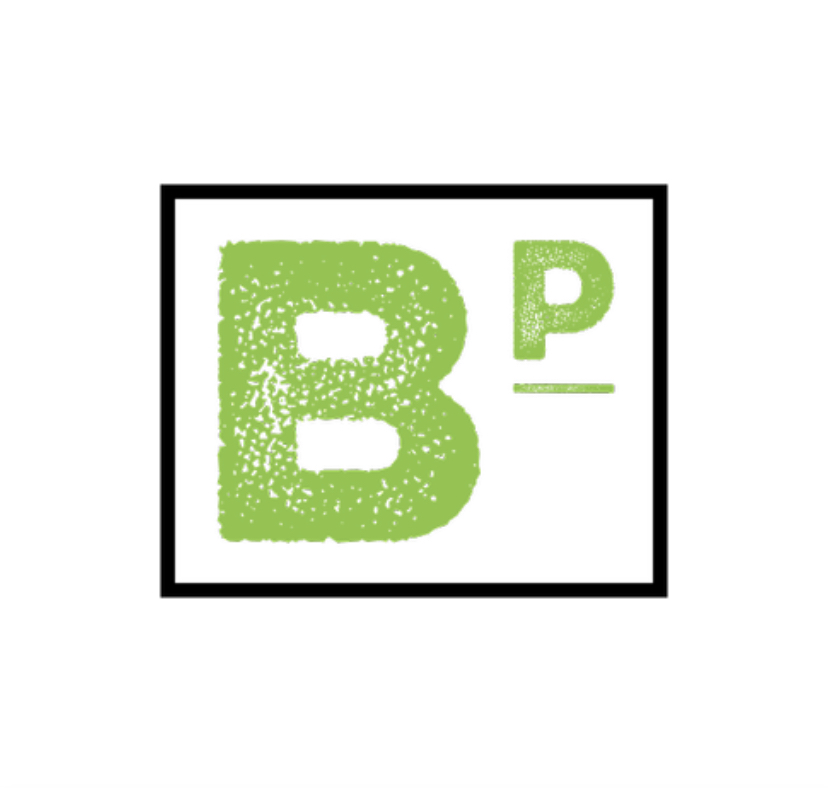 Bady Pressure Wash logo