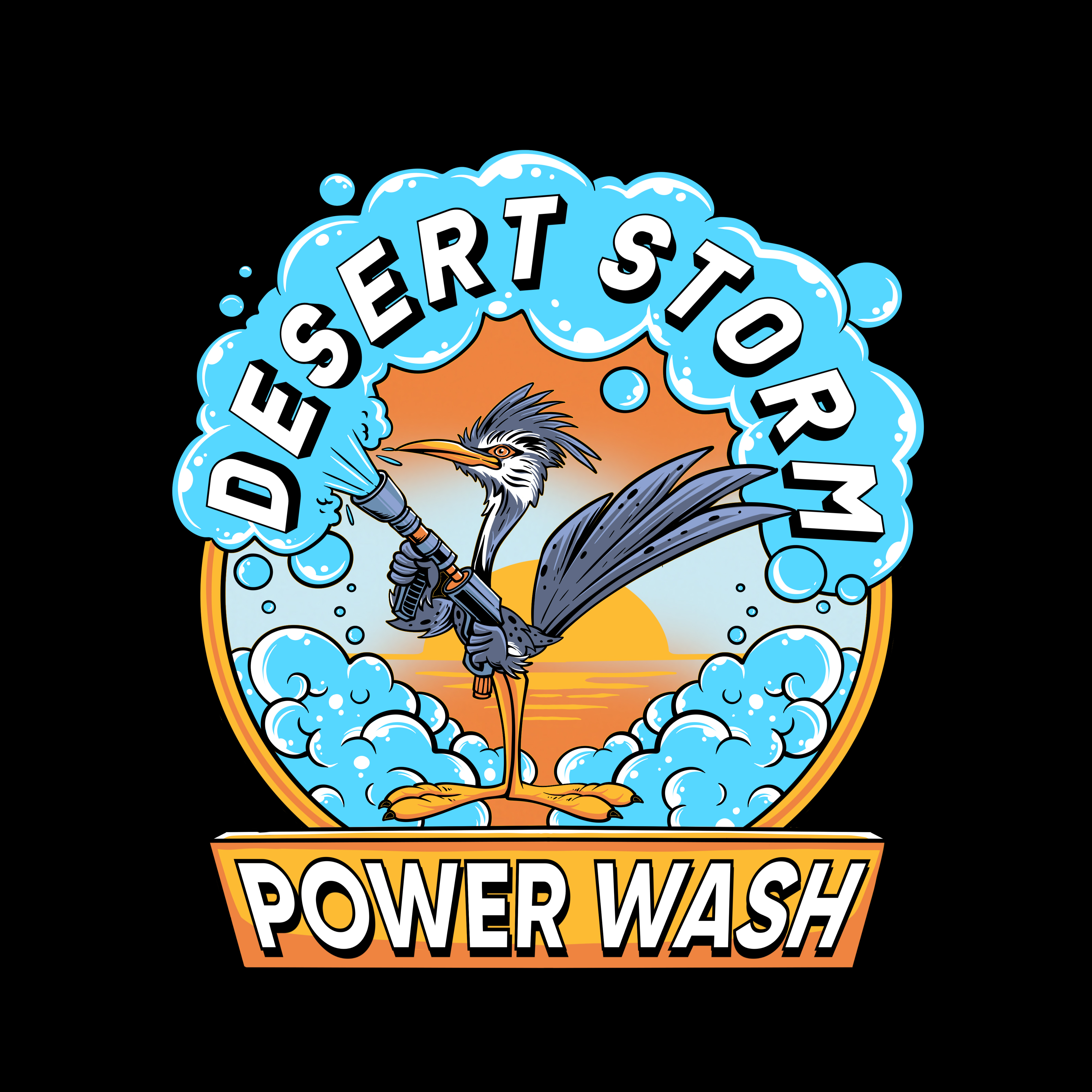 Desert Storm Power Wash LLC logo
