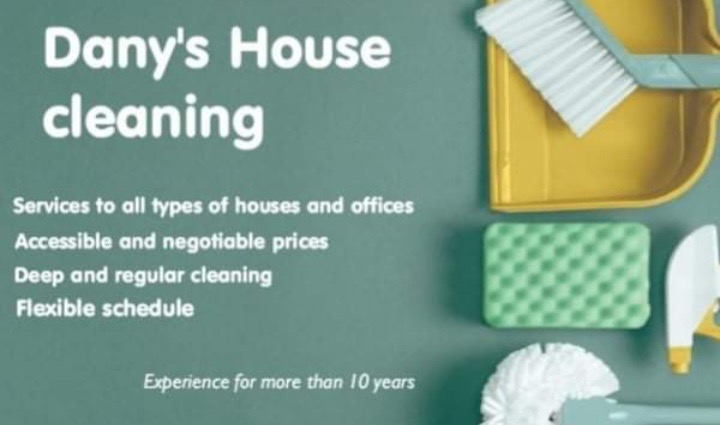 Danys Cleaning service logo